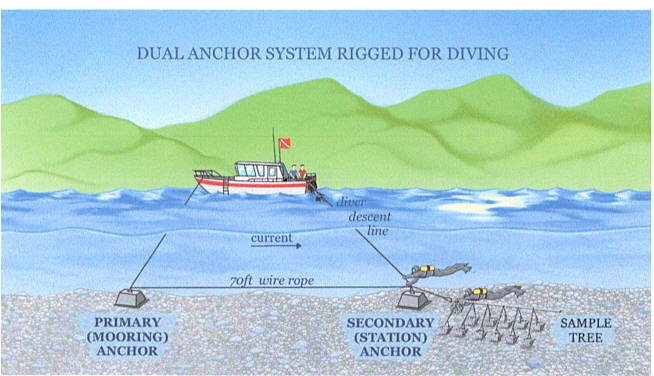 Research Diving in the Columbia River (The Four Ton Weight Belt)